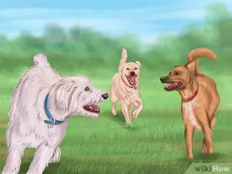 Imagen titulada Calm Down a Playful Large Dog Step 3