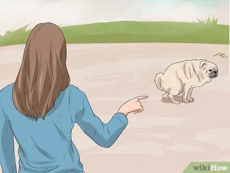 Imagen titulada Train Pugs Step 8