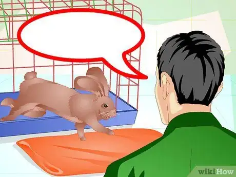 Imagen titulada Make Your Bunny Come to You when You Open the Cage Step 5
