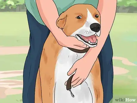 Imagen titulada Train a Dog to Come Step 2
