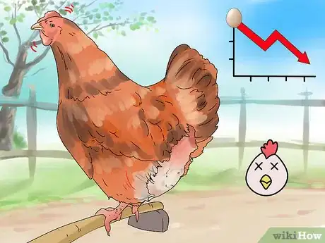 Imagen titulada Worm Chickens Step 1