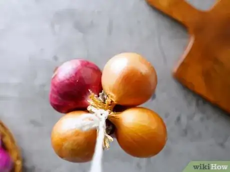 Imagen titulada Dry Onions Step 4