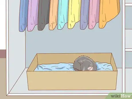 Imagen titulada Get a Kitten to Fall Asleep Step 4