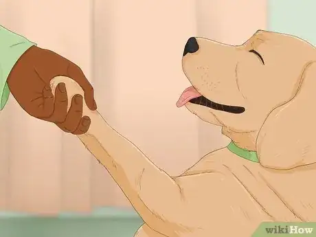 Imagen titulada Make Your Dog Stop Sleeping in Your Bed Step 11