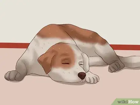 Imagen titulada Trim a Dog's Nails Step 1