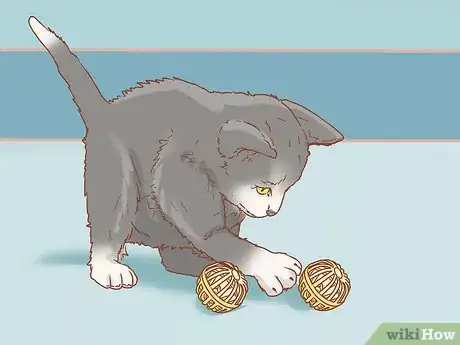 Imagen titulada Get a Kitten to Fall Asleep Step 14