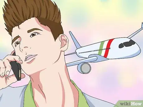 Imagen titulada Bring an Urn or Ashes on a Plane Step 1