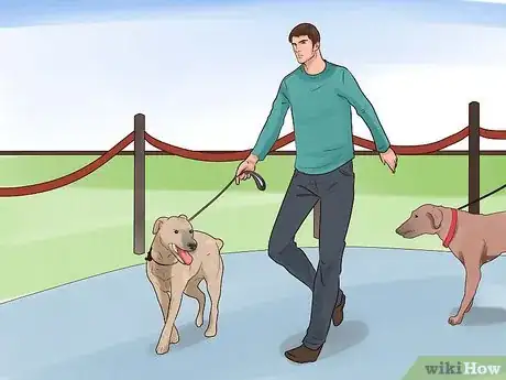 Imagen titulada Train Your Dog for a Dog Show Step 4