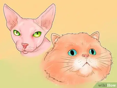Imagen titulada Identify Cats Step 4