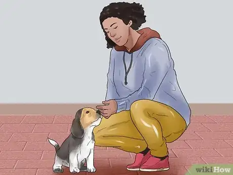 Imagen titulada Take Care of a Beagle Puppy Step 3