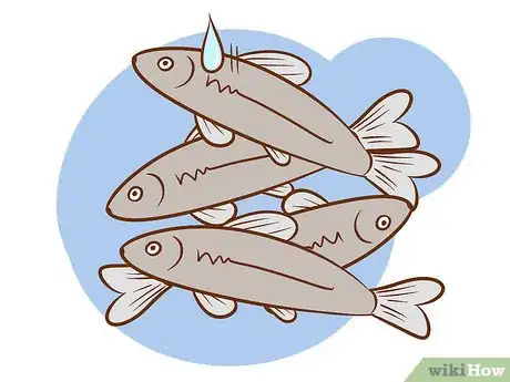 Imagen titulada Catch a Crappie Step 7