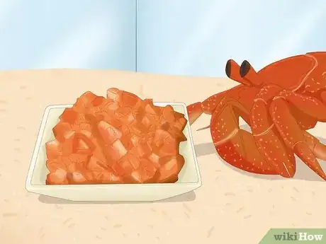 Imagen titulada Care for a Marine Hermit Crab Step 7