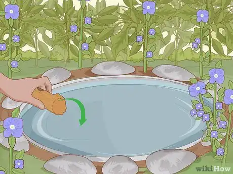 Imagen titulada Create a Habitat for a Toad Step 6