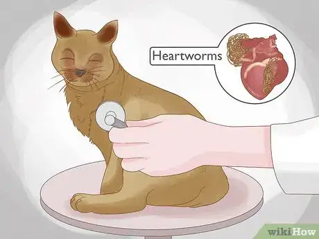 Imagen titulada Identify Worms in a Cat Step 13