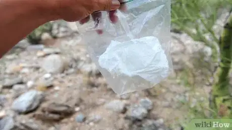Imagen titulada Defecate Outdoors Step 7
