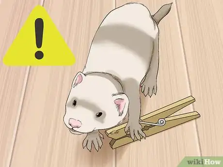 Imagen titulada Keep a Single Ferret Happy Step 12