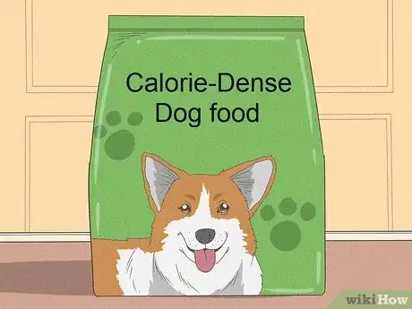 Imagen titulada Feed a Yorkie Puppy Step 5