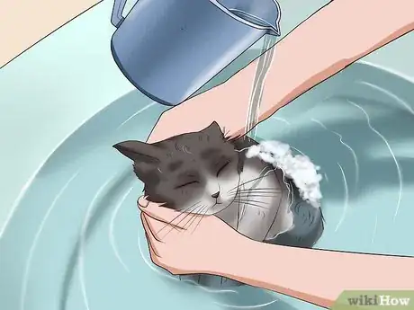 Imagen titulada Clean Your Cat When He Can't Do It Himself Step 30