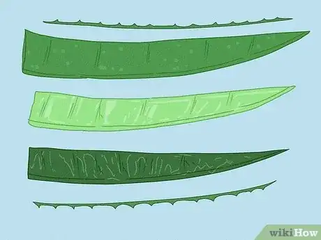 Imagen titulada Use Fresh Aloe Vera Step 1