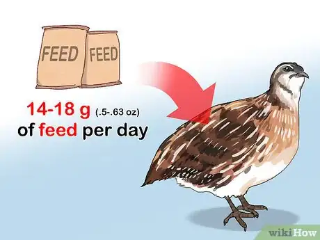 Imagen titulada Build a Quail Habitat Step 12