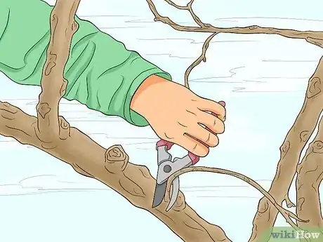 Imagen titulada Clean Roof Shingles Step 11
