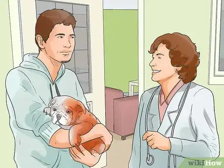 Imagen titulada Catch a Dog Step 13