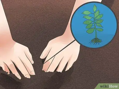 Imagen titulada Use Your Compost Step 7