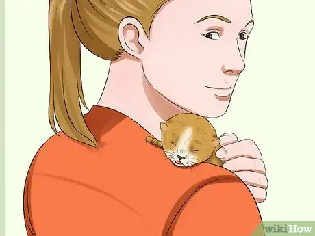 Imagen titulada Care for an Abandoned Kitten Step 12