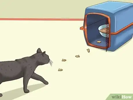 Imagen titulada Catch a Cat Step 9
