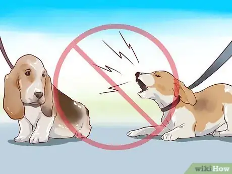 Imagen titulada Train Beagles Step 12