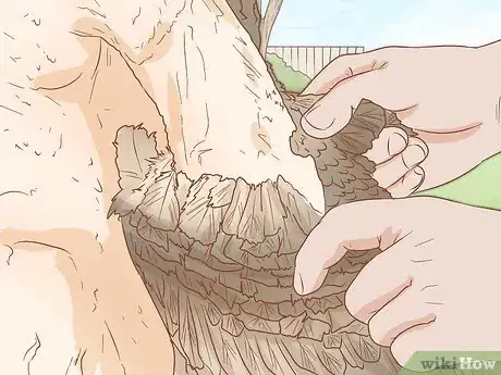 Imagen titulada Clean a Turkey Step 13