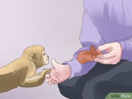 Imagen titulada Take Care of a Monkey Step 12