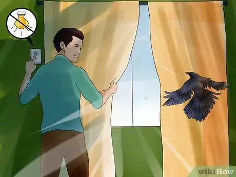 Imagen titulada Chase a Bird out of an Enclosed Porch or a House Step 3