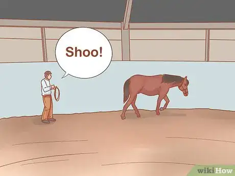 Imagen titulada Join Up With a Horse Step 9