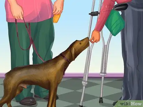 Imagen titulada Get a Service Dog if You're Blind or Visually Impaired Step 9