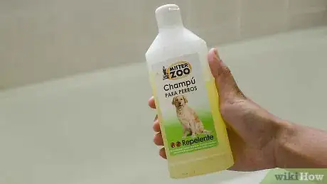 Imagen titulada Make Your Dog Smell Better Step 1