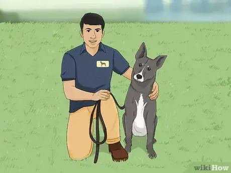 Imagen titulada Potty Train a Chihuahua Step 11
