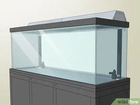 Imagen titulada Start a Saltwater Aquarium Step 5
