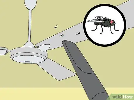 Imagen titulada Do Pest Control With a Vacuum Cleaner Step 13