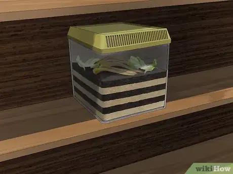 Imagen titulada Make a Worm Habitat Step 6