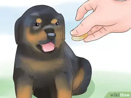 Imagen titulada Train Your Rottweiler Puppy With Simple Commands Step 2