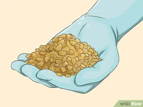 Imagen titulada Clean a Litter Box Step 10