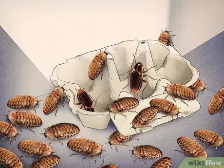 Imagen titulada Breed Feeder Roaches Step 8