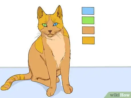 Imagen titulada Act Like a Warrior Cat Step 2