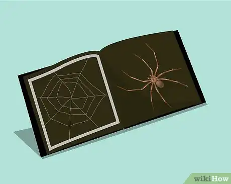 Imagen titulada Catch a Spider Step 1