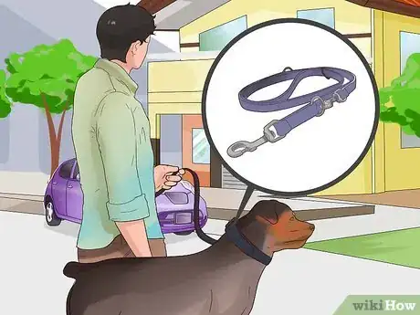 Imagen titulada Train Your Dog for a Dog Show Step 3
