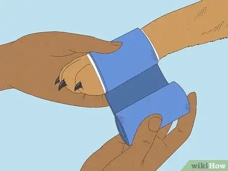 Imagen titulada Wrap a Dog Paw Step 8