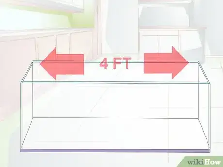 Imagen titulada Breed Malawi Cichlids Step 1