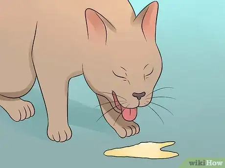 Imagen titulada Help Your Depressed Cat Step 5