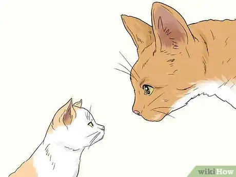 Imagen titulada Stop an Older Cat from Attacking a Kitten Step 9